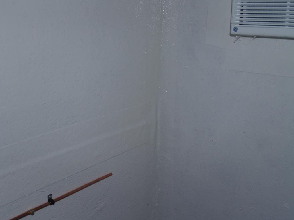 P2163495.jpg