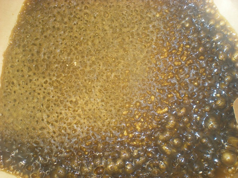 DSCN3563.jpg