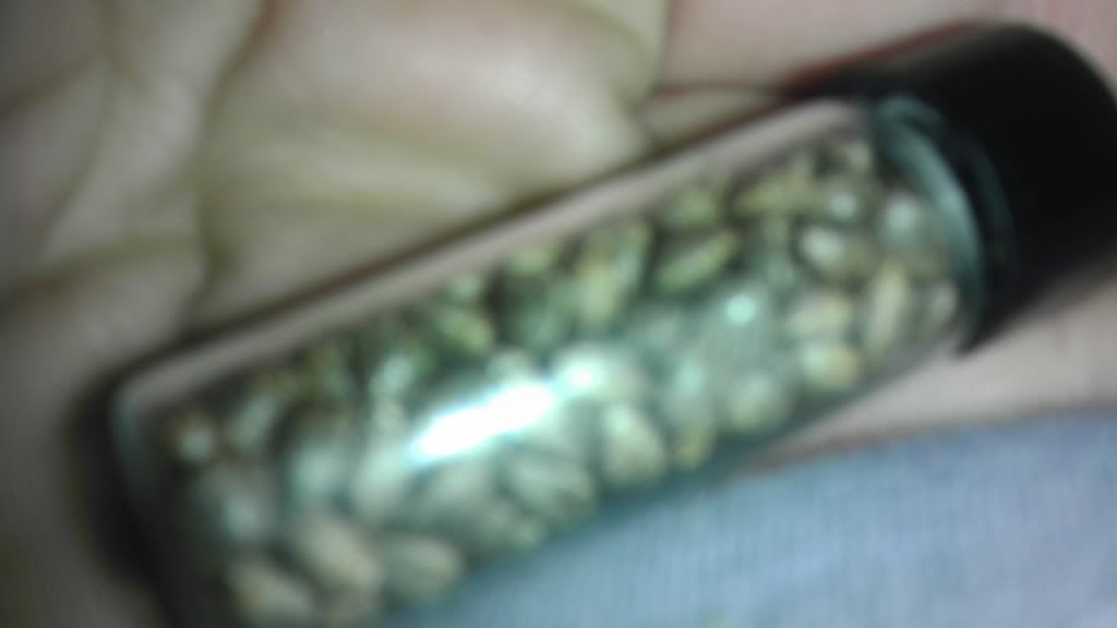 IMAG0415.jpg