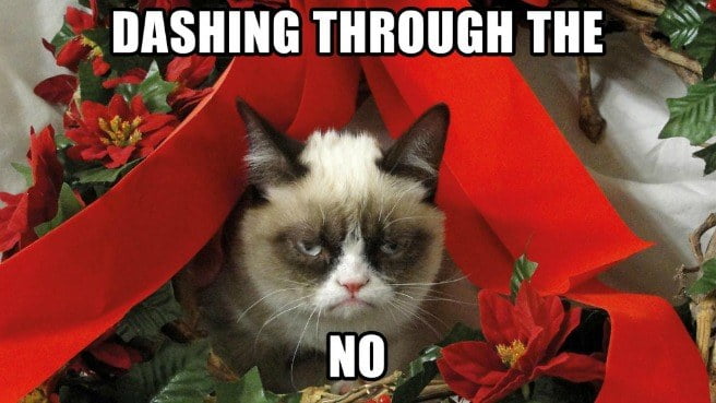 dashing-through-the-no-funny-merry-christmas-memes.jpg