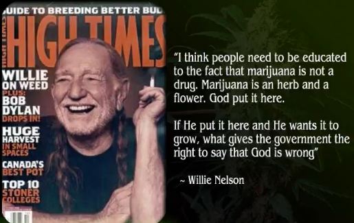 HempWillie.JPG