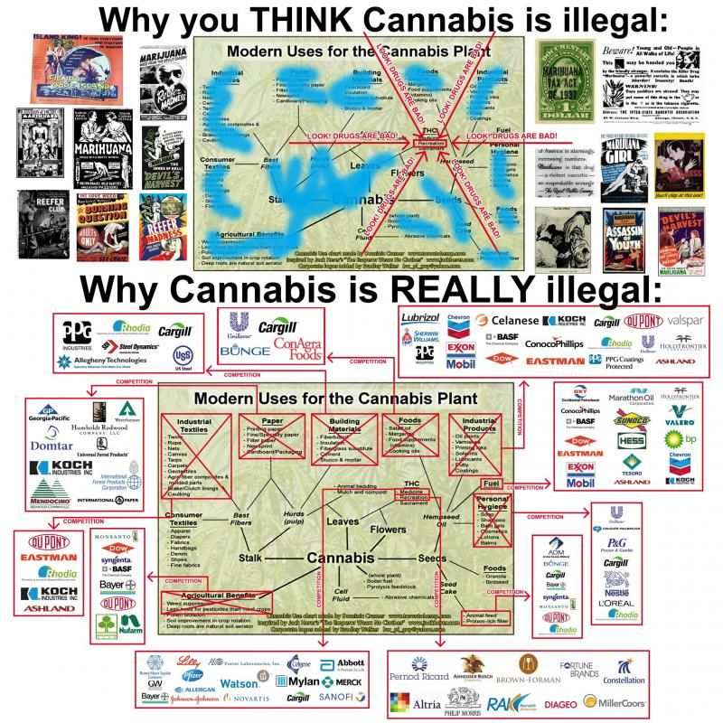 hemp-chart_zps64a1bd8f.jpg