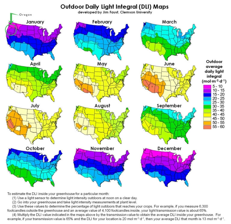 dli-for-united-states-jpg.1887360