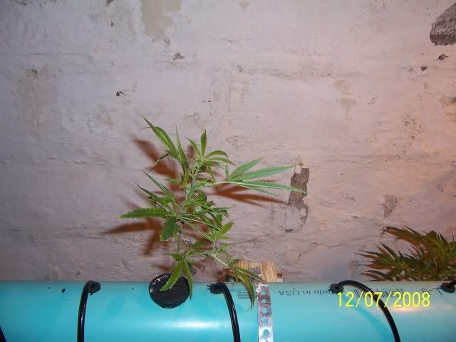 000_3870.jpg