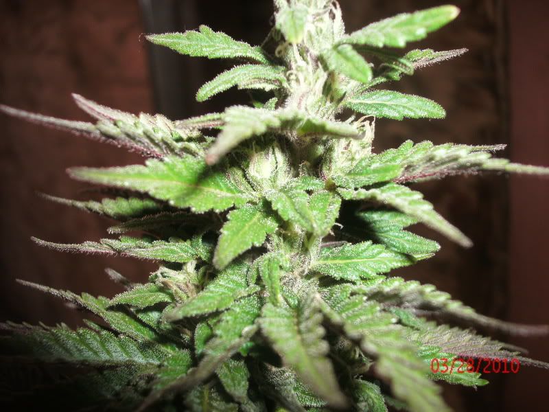 GEDC0473.jpg