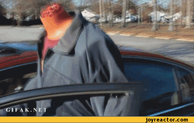 gif-driver-prank-head-637669.gif