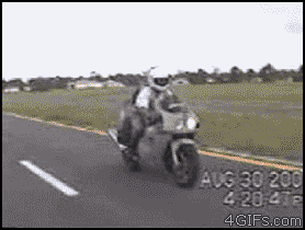 gifs_08.gif