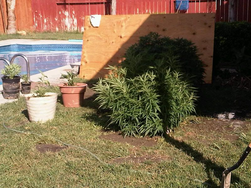 IMG00086-20110704-17031-1.jpg