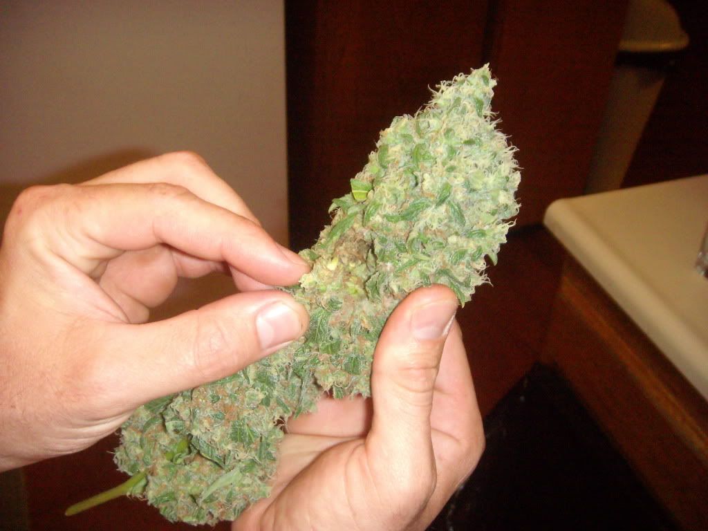 DSCN1029.jpg