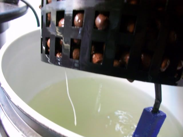 100_1031.jpg