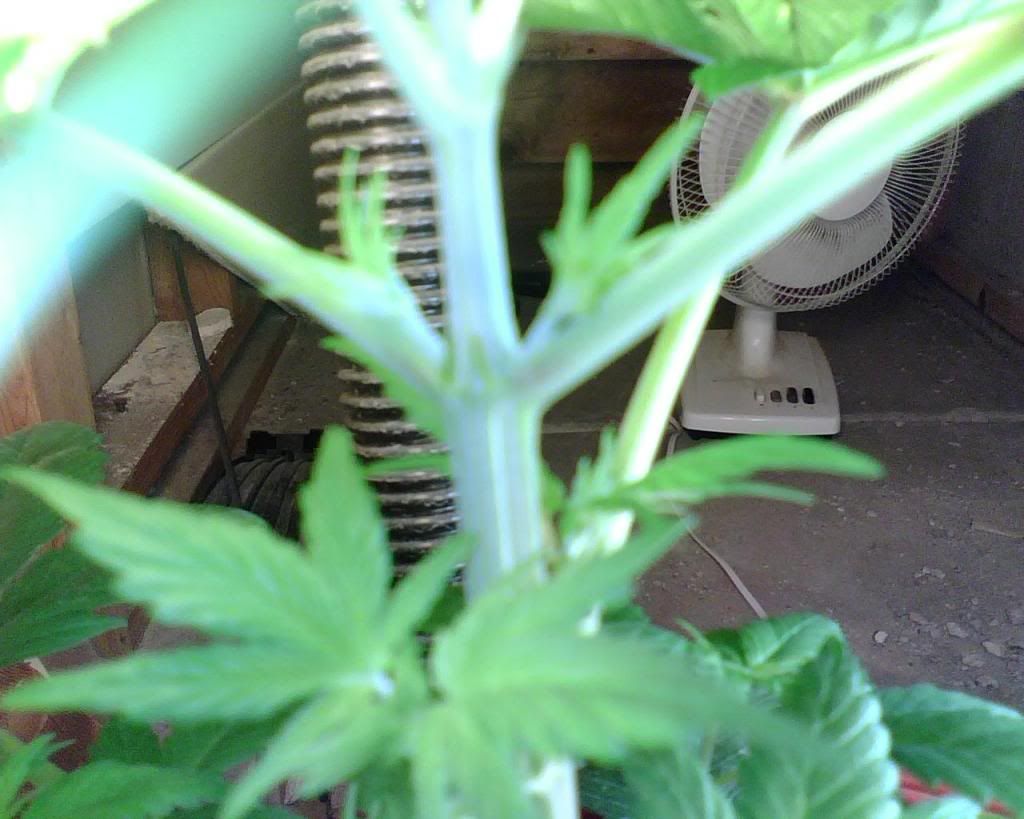 IMG00072.jpg