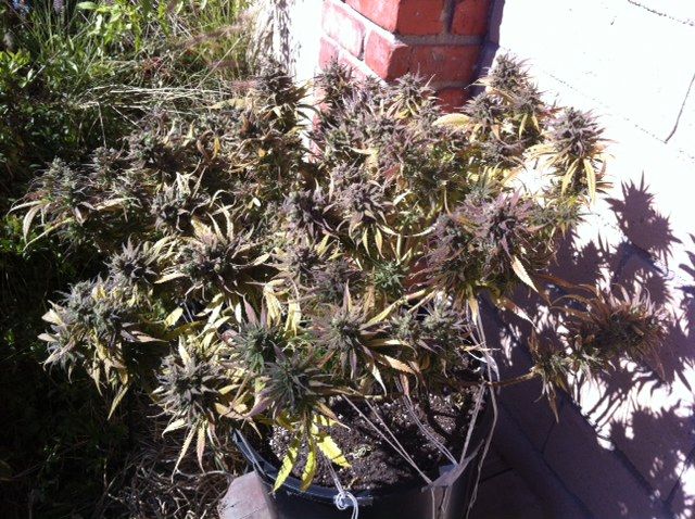 photo1-10.jpg