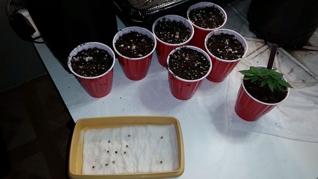 20151216_111047_zps2fxa1xia.jpg