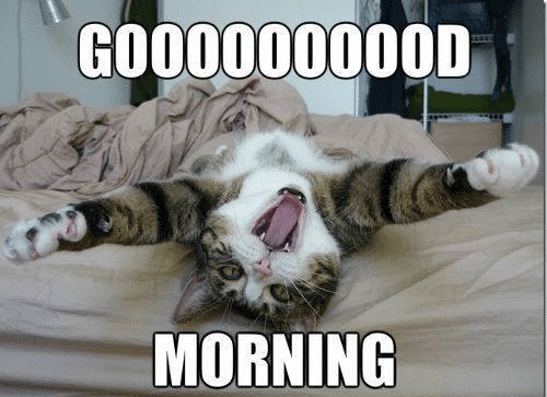 Funny_Good_Morning.png