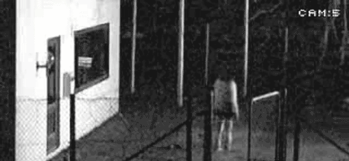 gifs_01.gif