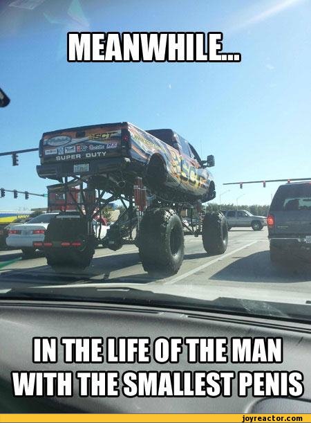 funny-pictures-auto-meanwhile-in-truck-384395.jpeg