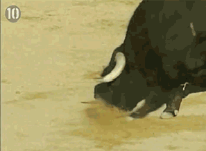 83415826.gif