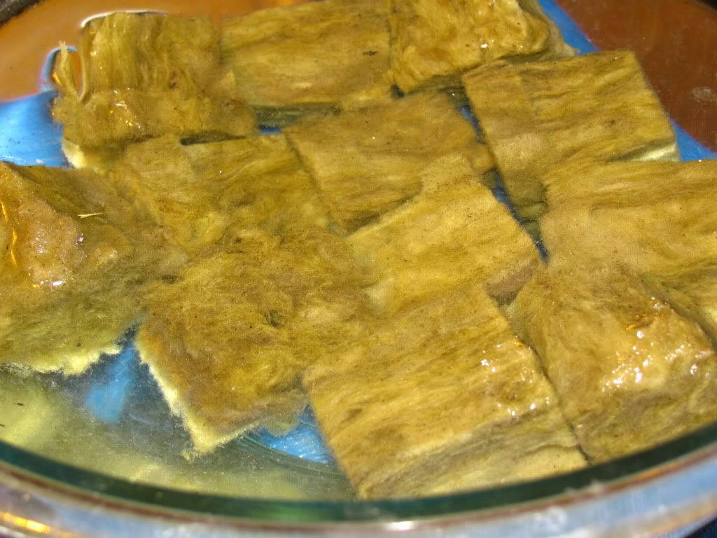 IMG_2000.jpg
