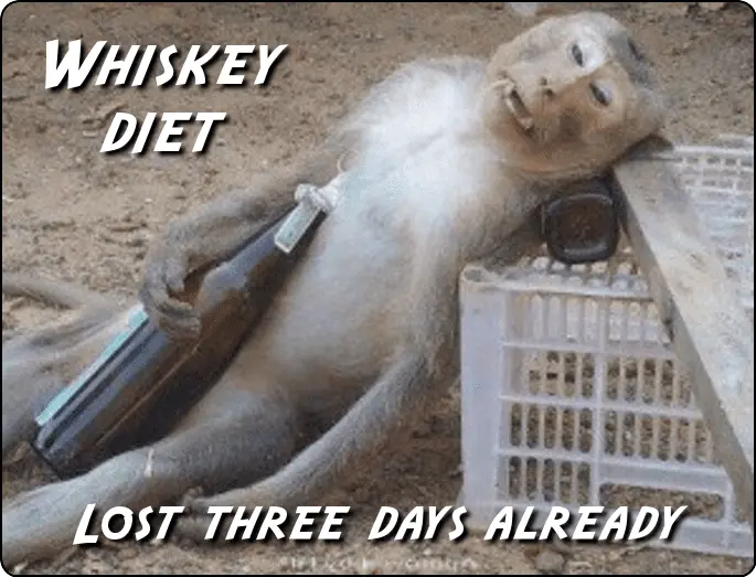 whiskey-diet-monkey-reverse-png.50491