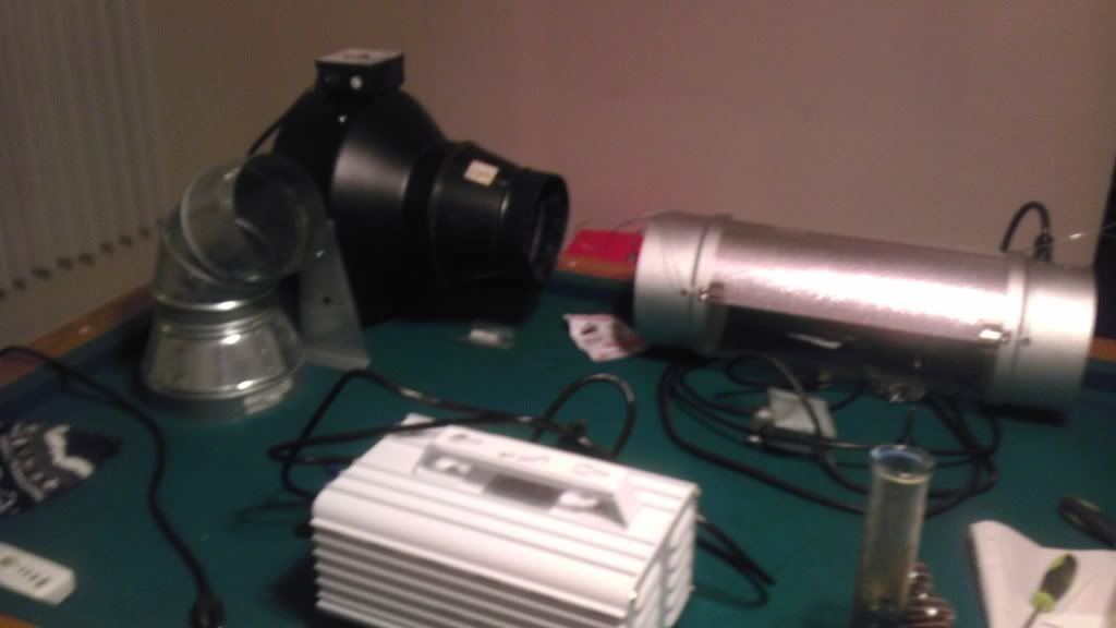 IMAG0450.jpg