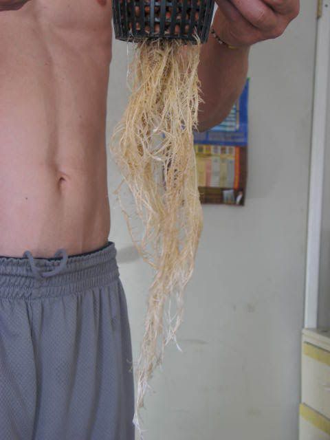 Picture234.jpg