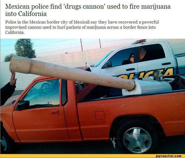 news-drugs-cannon-weed-589041.png