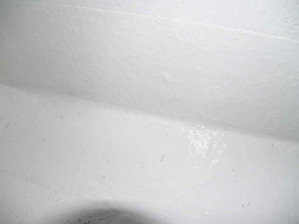 P2163503.jpg