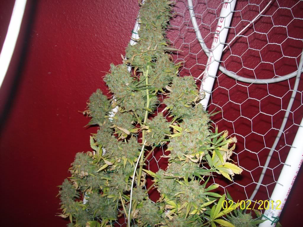 100_9058.jpg