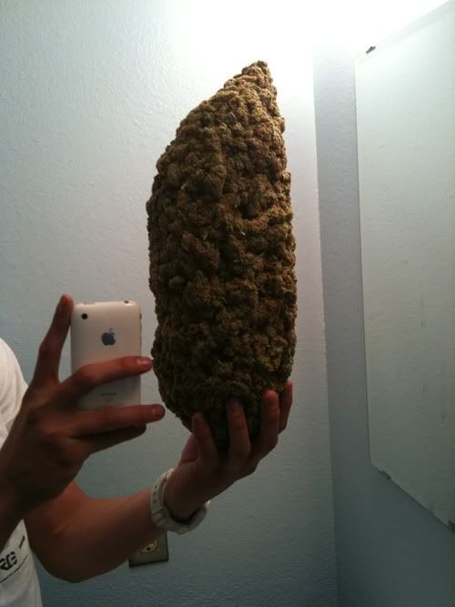 tumblr_l264x3XU3t1qzyaoeo1_500.jpg