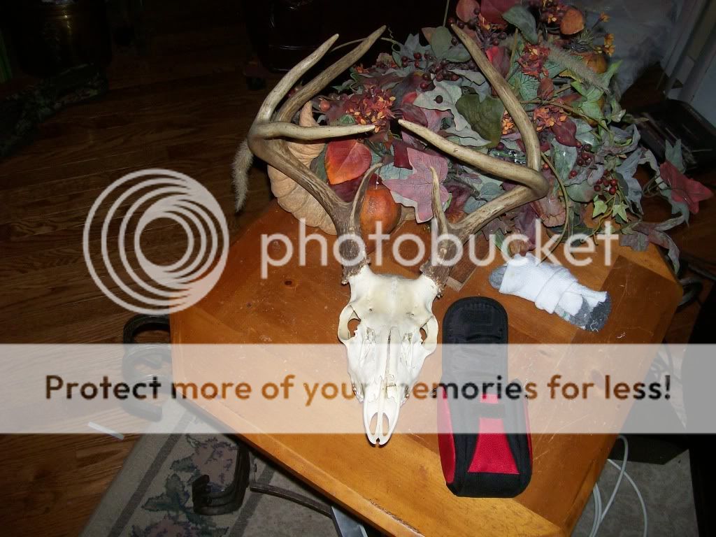 100_1377.jpg
