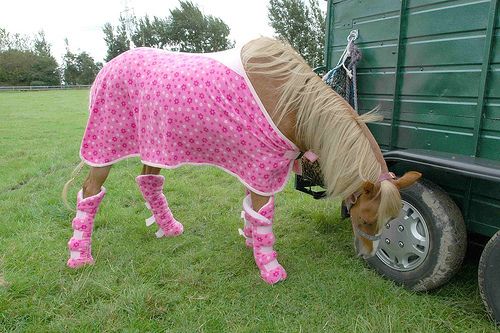 Horses-On-Ketamine-5.jpg