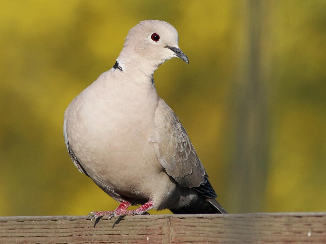 66035101-1280px.jpg