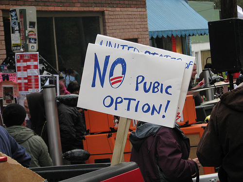 misspelled-tea-party-sign-no-pubic-option.jpg