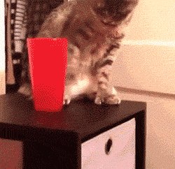 exweqQq.gif