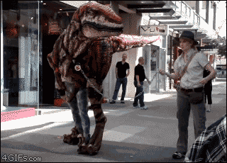 tumblr_mzigheg5gA1s6zpepo1_400.gif