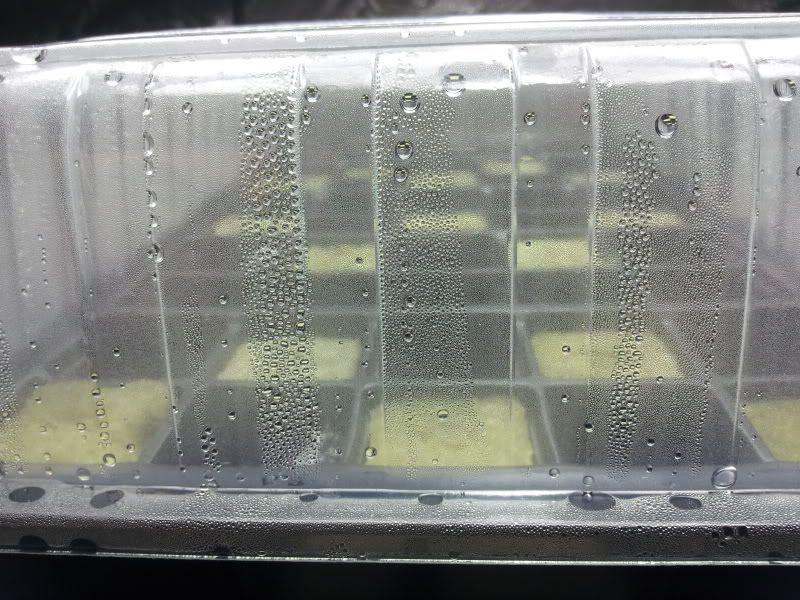 20120514_175504.jpg
