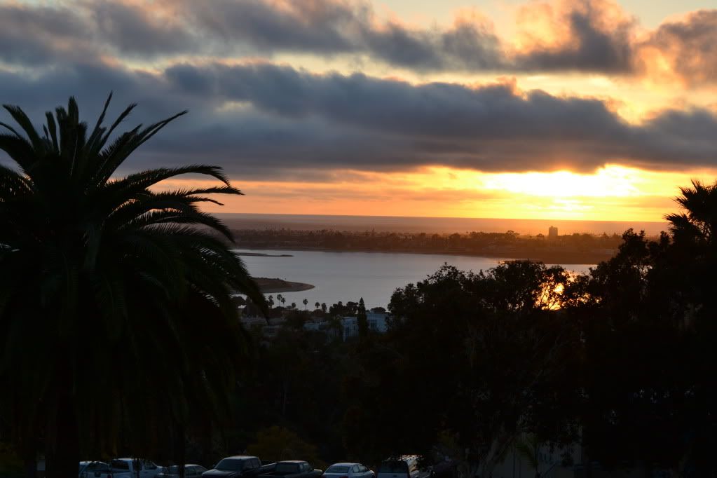 DSC_0049.jpg