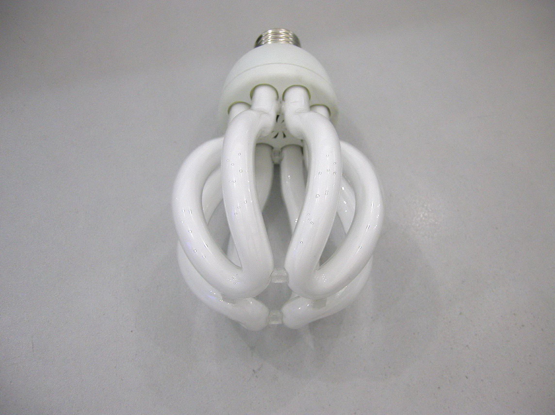 Lotus_40W_CFL.jpg