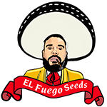 elfuegoseeds.com