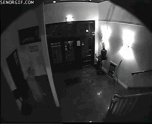 gifs_23.gif