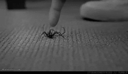 5796d9efb41fa84e74af80ef89c97786.gif