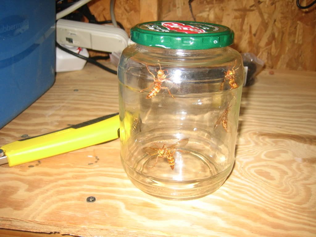 IMG_1074.jpg