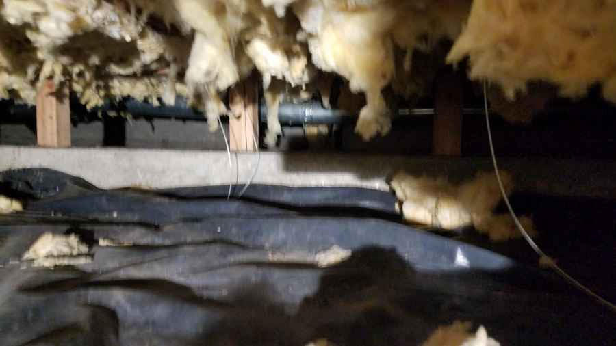 crawlspace1.jpg