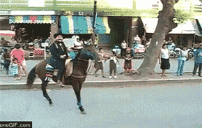 gifs_20.gif
