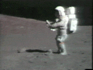 gu4xbrd.gif