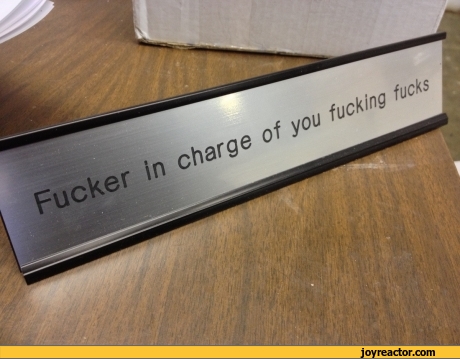 funny-pictures-900948.jpeg