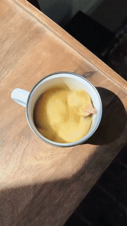 1656968495_20.gif