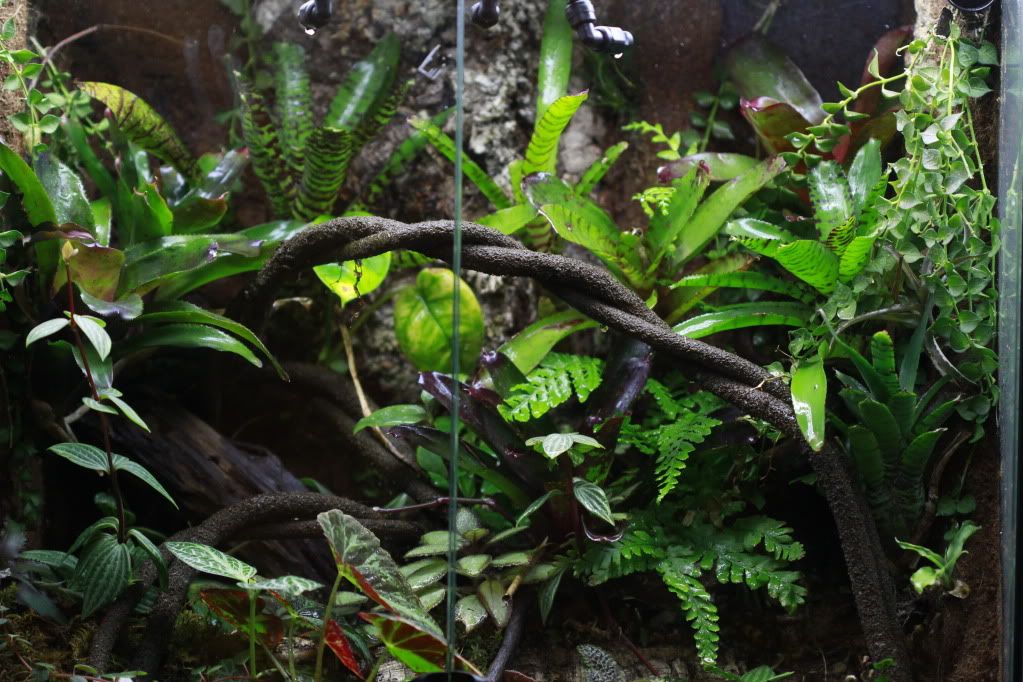 _MG_3204.jpg