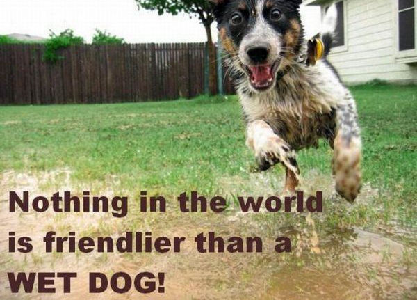 friendliest_in_the_world-img-1239.jpg