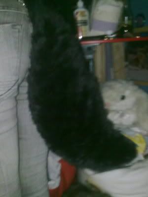 WOLFTAIL.jpg